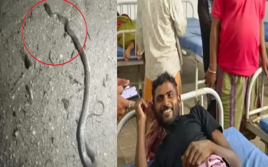 युवक को सांप ने काटा, दर्द से तड़प रहे युवक ने भी सांप को काटा,