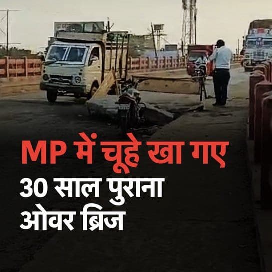 मध्य प्रदेश में चूहे ओवर ब्रिज खा गए  नाम है: अशोक नगर ओवर ब्रिज  यह ओवर ब्रिज 30 साल पुराना है