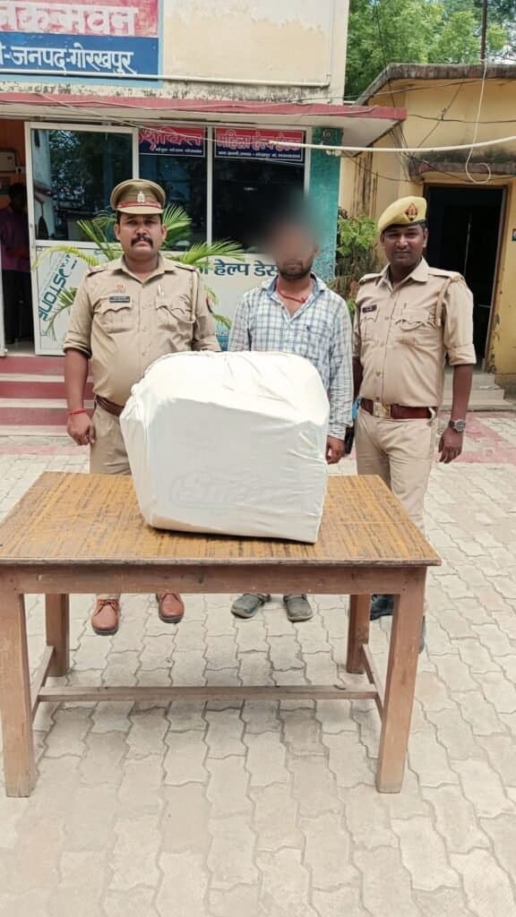 25 किलो गांजा के साथ तस्कर गिरफ्तार, जेल भेजा गया
