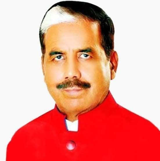 बीजेपी विधायक नागेंद्र सिंह को 6 महीने की सजा
