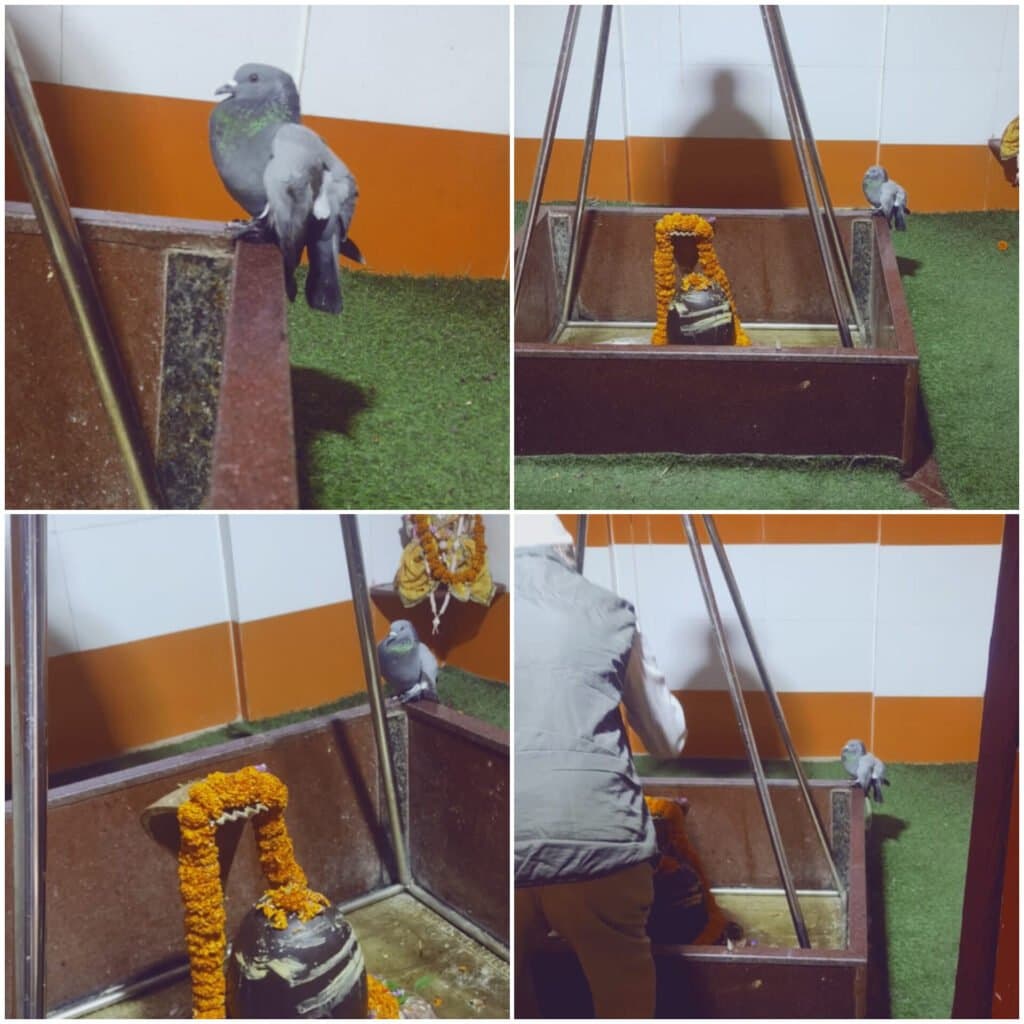 बालाजी मंदिर में घटी एक अद्भुत घटना
