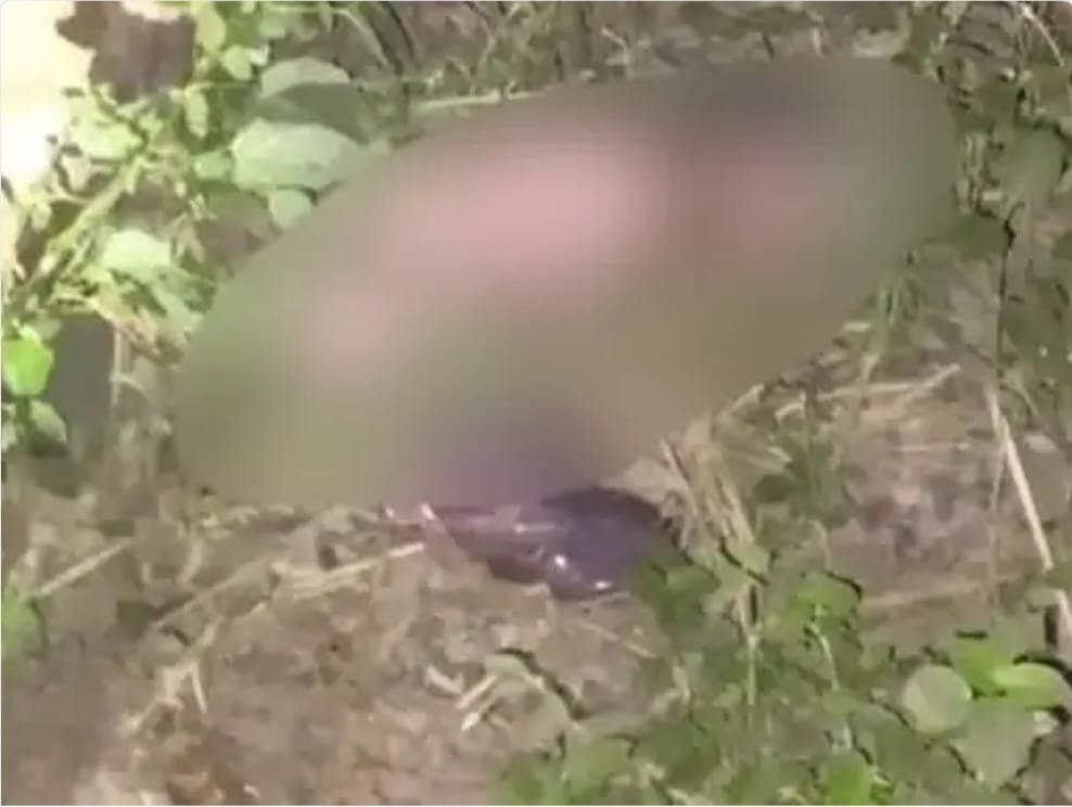 झाड़ियों में मिला नवजातः 20 साल की युवती ने फेका