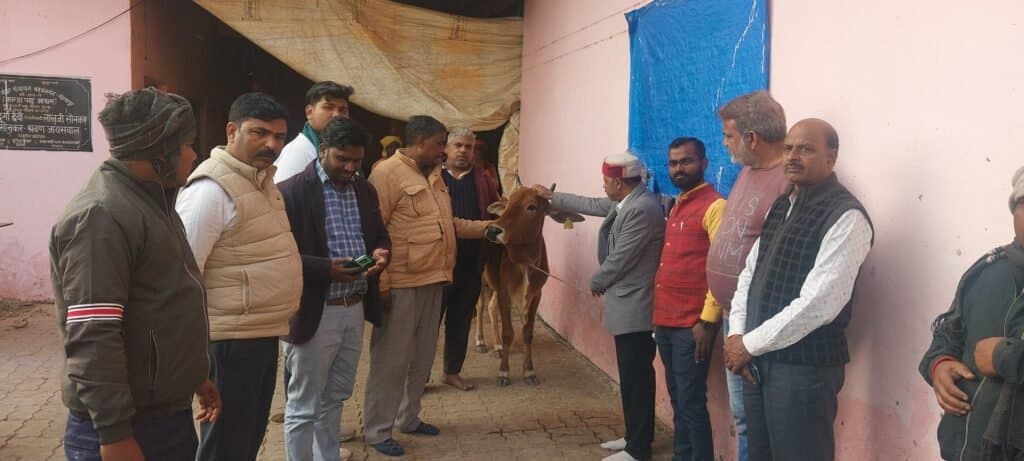 नगर पंचायत ने दो गायों को किया दान