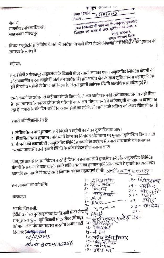 फ्लूएंटग्रीड कंपनी पर तीन माह का वेतन बकाया, मीटर रीडरों ने तहसील दिवस पर लगाई गुहार