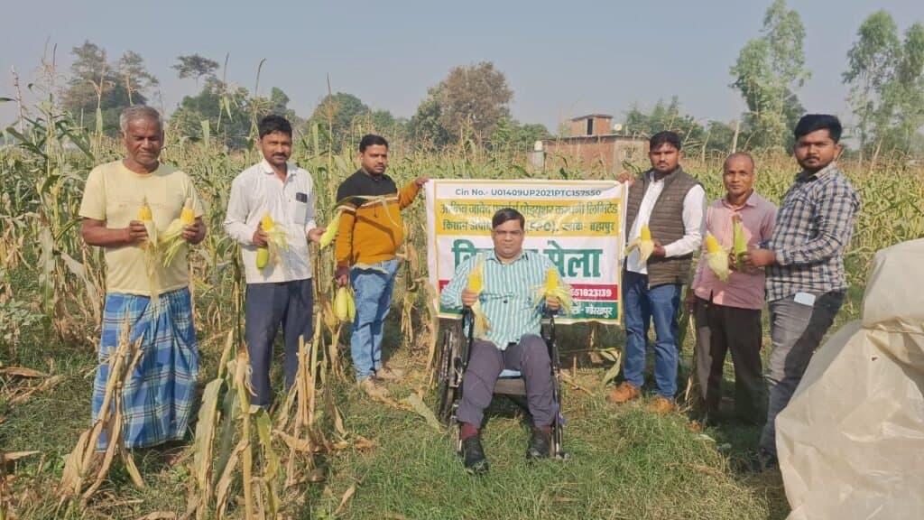 स्वीट कॉर्न की खेती से दोगुनी हो रही किसानों की आय