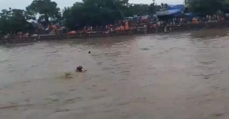 हरिद्वार में डूब रहे कावड़िए को गोताखोर पुलिस जवानों ने बचाया,वीडियो सोशल मीडिया पर वायरल