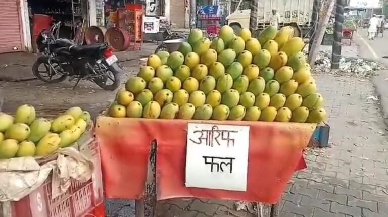 दिल्ली से हरिद्वार के बीच कांवड़ यात्रा मार्ग पर पड़ने वाले होटल-ढाबा और रेहड़ी संचालकों ने अपने नाम के बोर्ड लगाने शुरू कर दिए