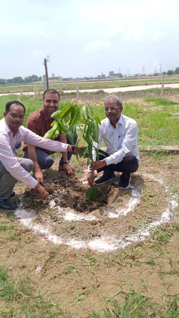 डीडीओ ने गोवंश स्थल पर किया पौधारोपण