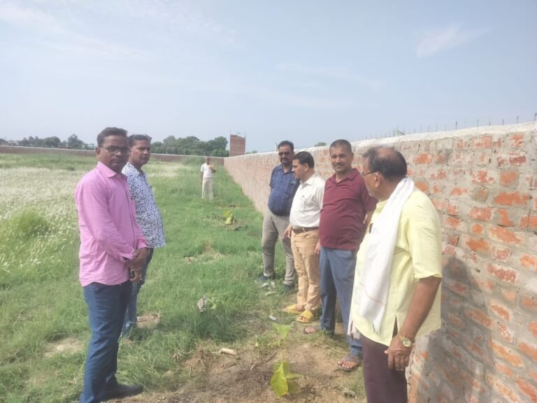 दवा विक्रेता समिति ने किया पौध रोपड़