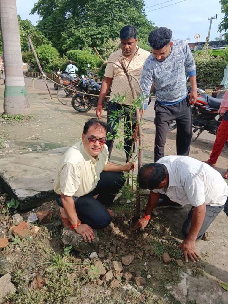 स्वच्छता और सुंदरता के साथ वृक्ष लगाकर मन को करें शांत