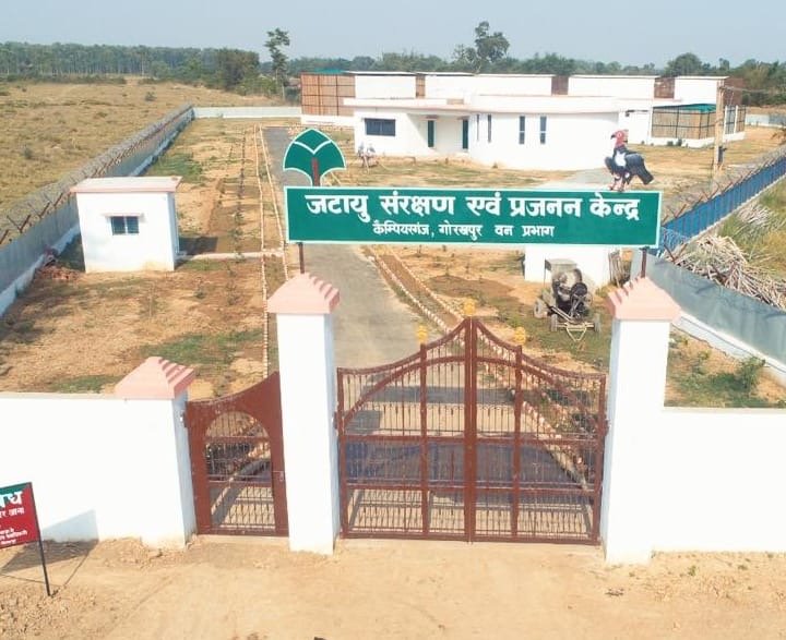 सीएम योगी करेंगे एशिया के पहले राजगिद्ध संरक्षण केंद्र का उद्घाटन